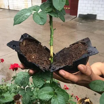 Zakorenenie Rastlín Loptu Vrúbľovanie Zakorenenie Rastie Box Chov Prípade Záhrada Botanika Vysoký Tlak Root Zariadení Na Kontrolu